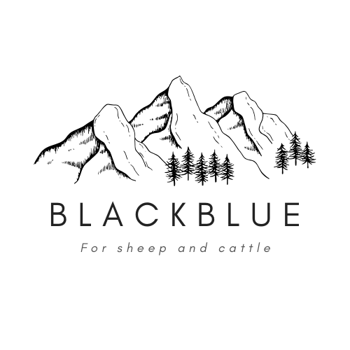 BlackBlue, rénettes, cloches, bovins