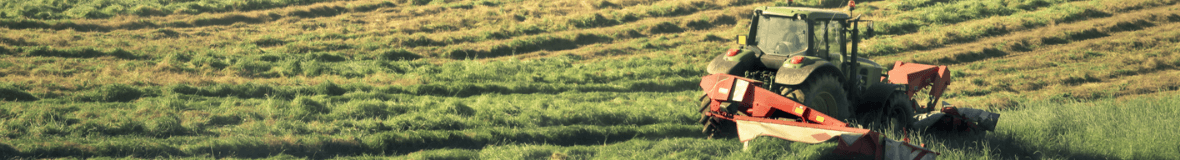 Produits d'entretien écologiques