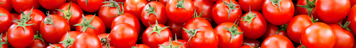 Epépineuses, presses-tomates