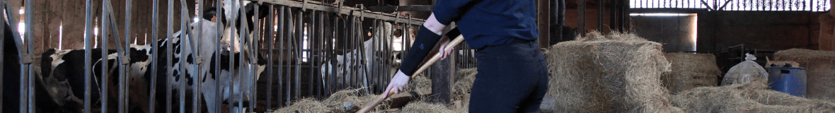 Bottes, chaussettes et accessoires 