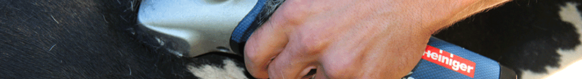 Peignes et jeux de peignes