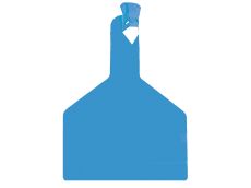 Boucle une pièce ZTAG BOVIN bleue x30