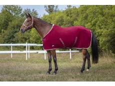 Licol polyfun bordeaux EQUITHEME pour cheval
