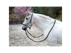 Licol éthologique noir avec rênes