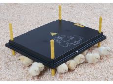 Panneaux chauffants pour poussins