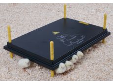 Panneaux chauffants pour poussins