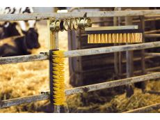 Brosse étable à logette KAMER