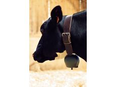 Cloche acier bombé Black-Blue  144 mm 