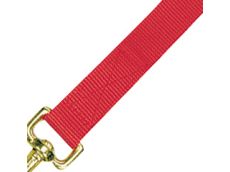 Licol nylon doublé cuir pour chevaux de trait 