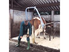 Portique pour soins du pied bovin VINK