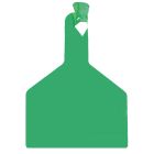 Boucle une pièce ZTAG BOVIN verte x30