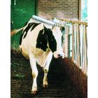 Brosse à vache VINK