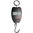 Peson electronique KAMER