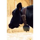 Cloche acier bombé Black-Blue  144 mm 