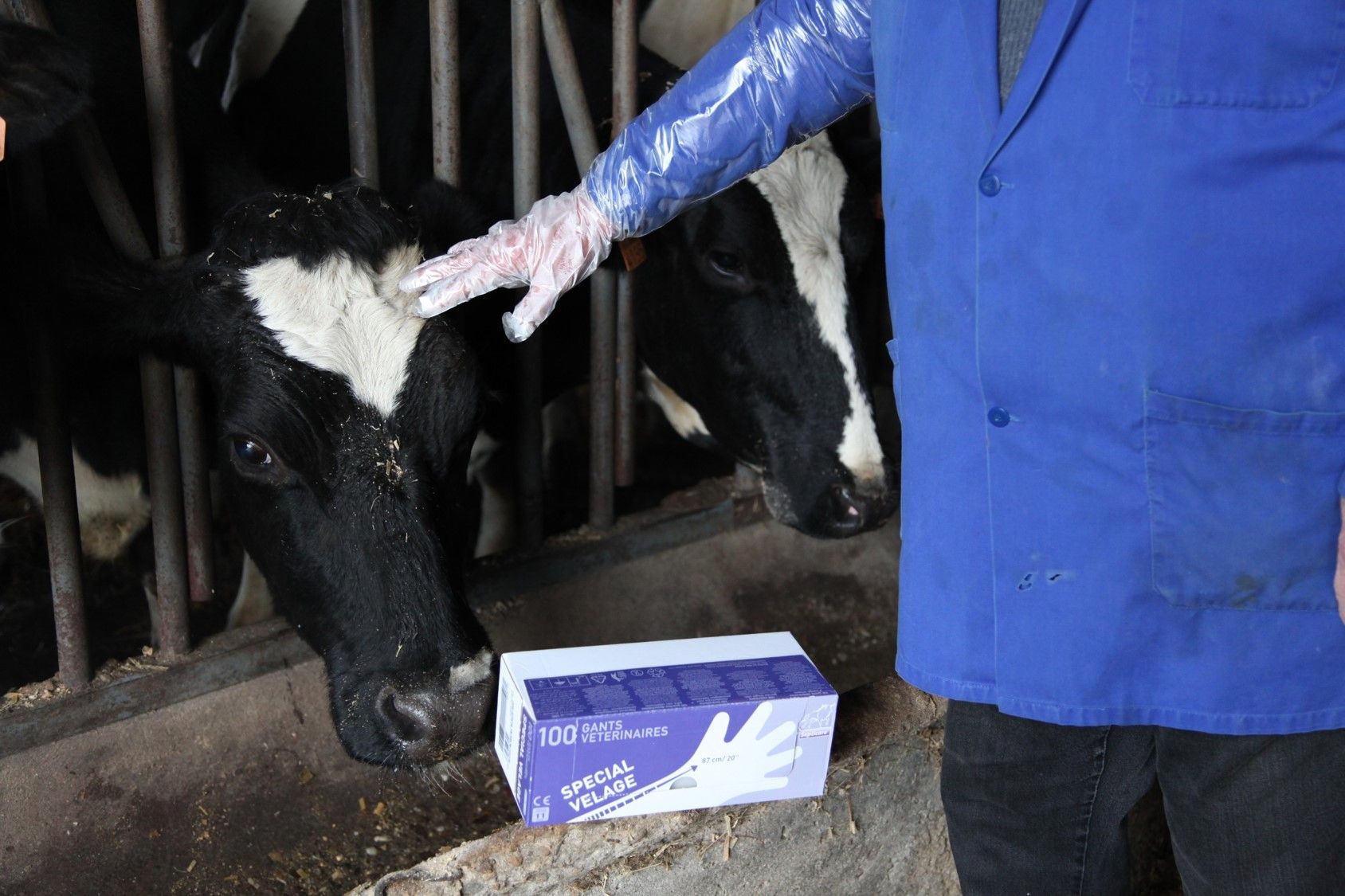 Photo ambiance gant Septicare 