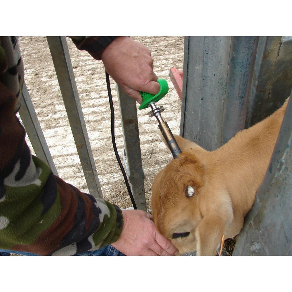 Écorneur électrique SAROS