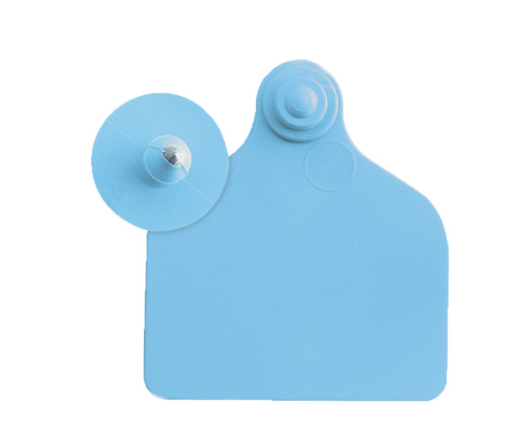 Boucles de marquage Ukalflex maxi+bouton nue bleue x20