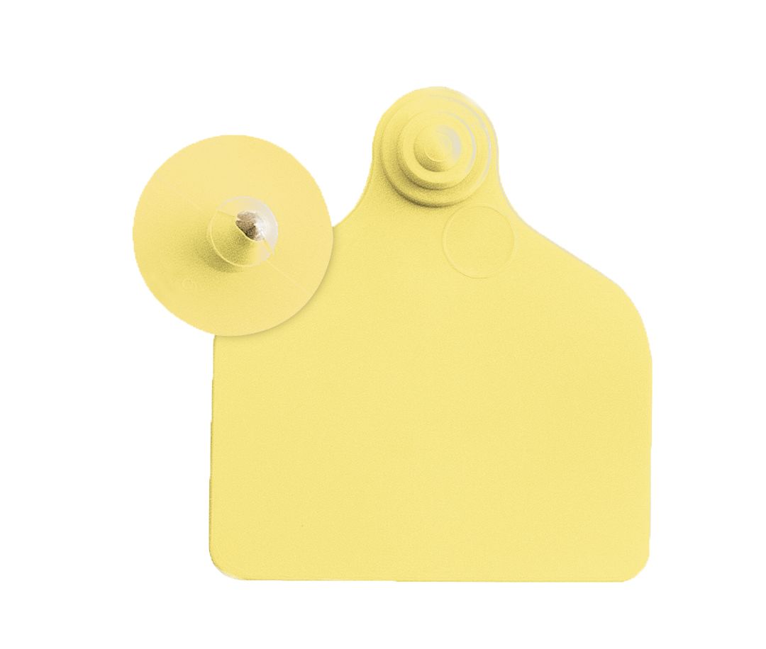 Boucles de marquage Ukalflex maxi+bouton nue jaune x20