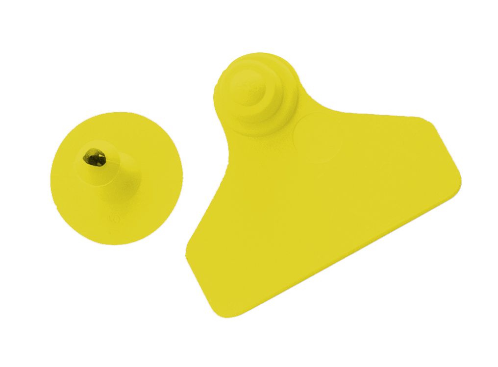 Boucles de marquage Ukalflex large+bouton nue jaune x20