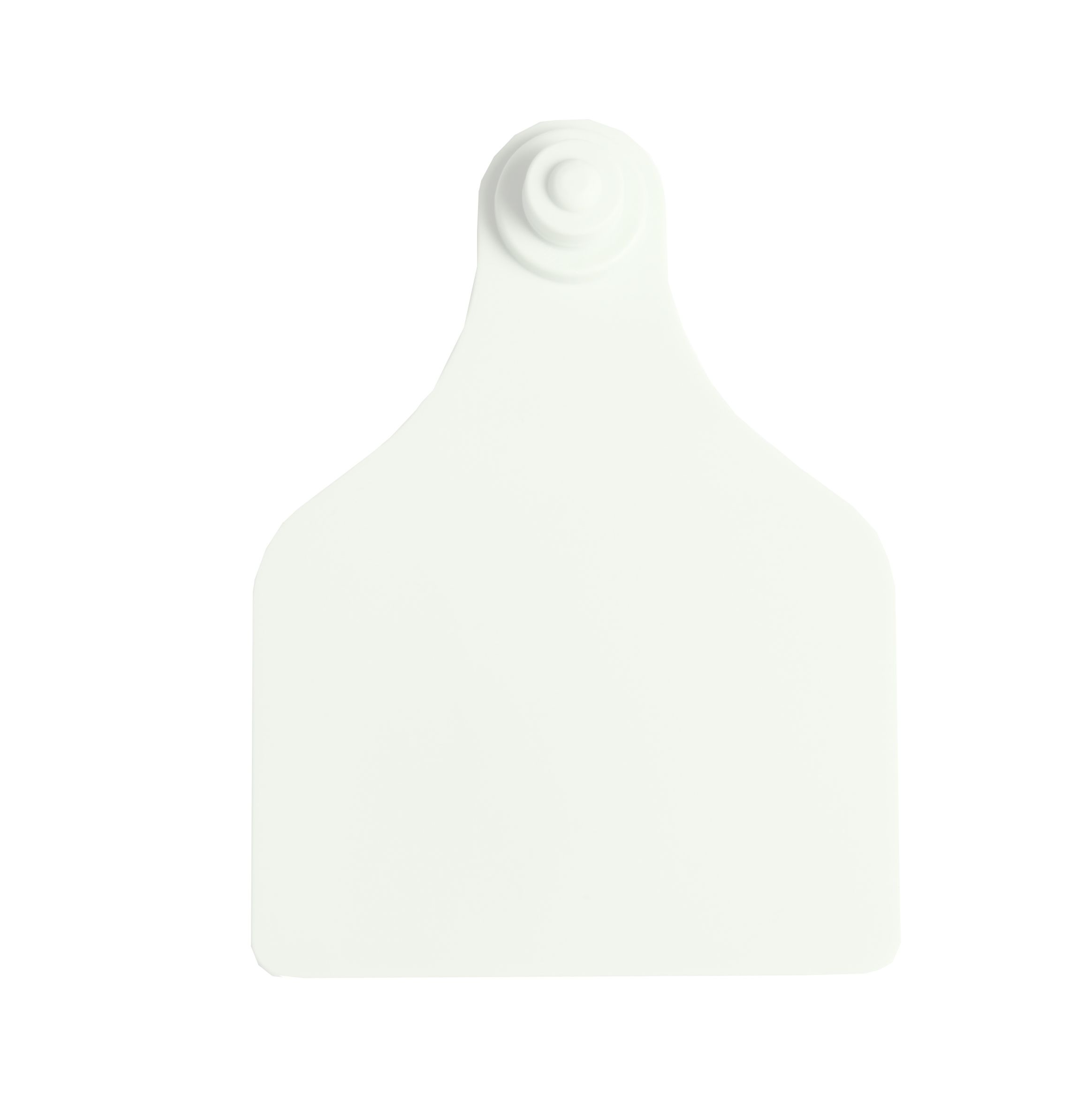 Boucles de marquage Ukal Flex super maxi+bouton nu blanc x20