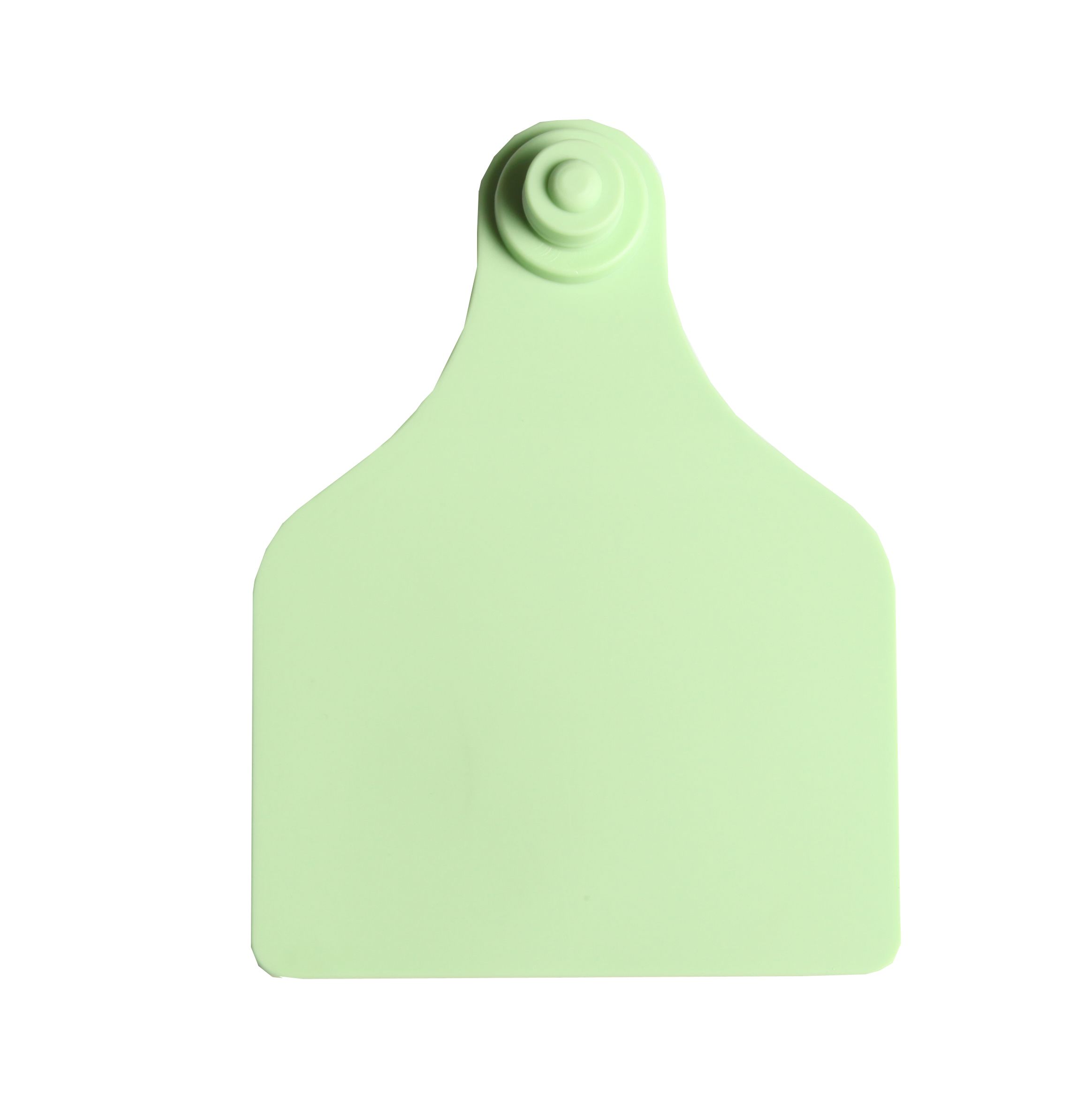 Boucles de marquage Ukal Flex super maxi+bouton nu vert x20