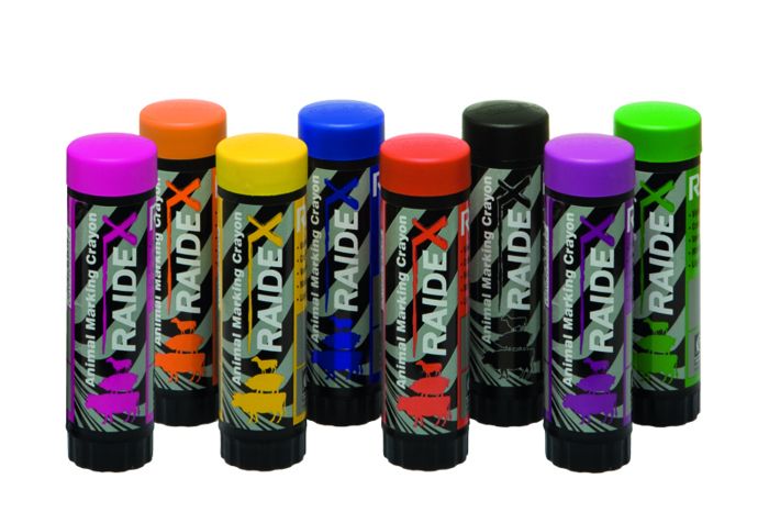 Crayon marqueur Raidex vert X3