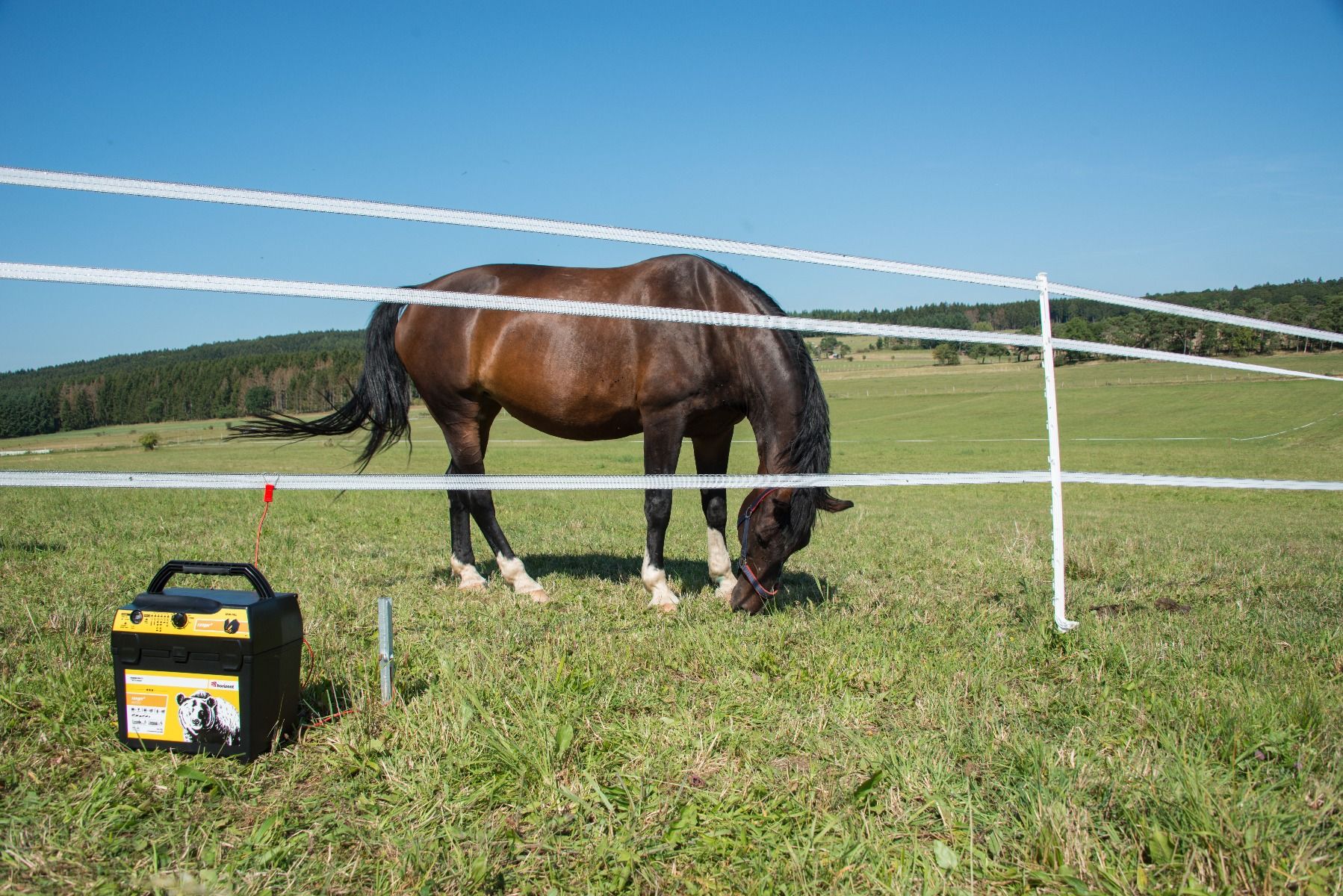 Poste mixte RANGER AN2000 HORIZONT 