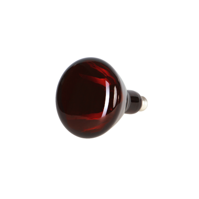 Ampoule infrarouge IR 250W rouge HORIZONT 