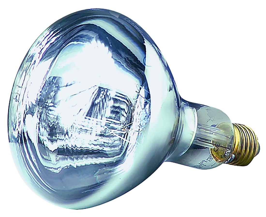 Ampoule Infrarouge Helios 250 W, blanche