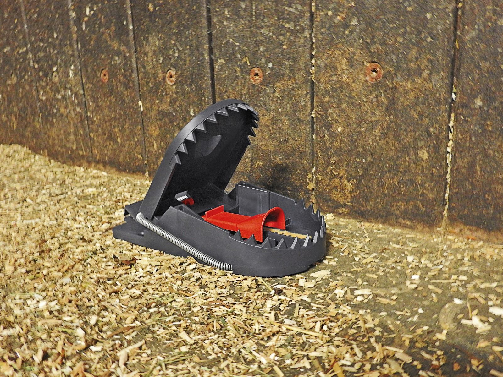 Piège à rats SUPERCAT - SWISSINNO