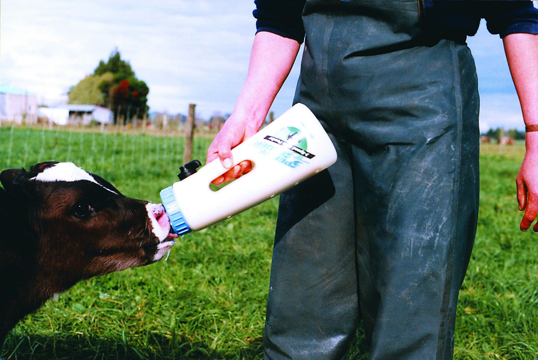 Couvercle et tétine SPEEDY FEEDER