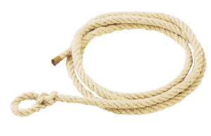 12 Longes PPTEX 2,50 m Ø 12 mm 