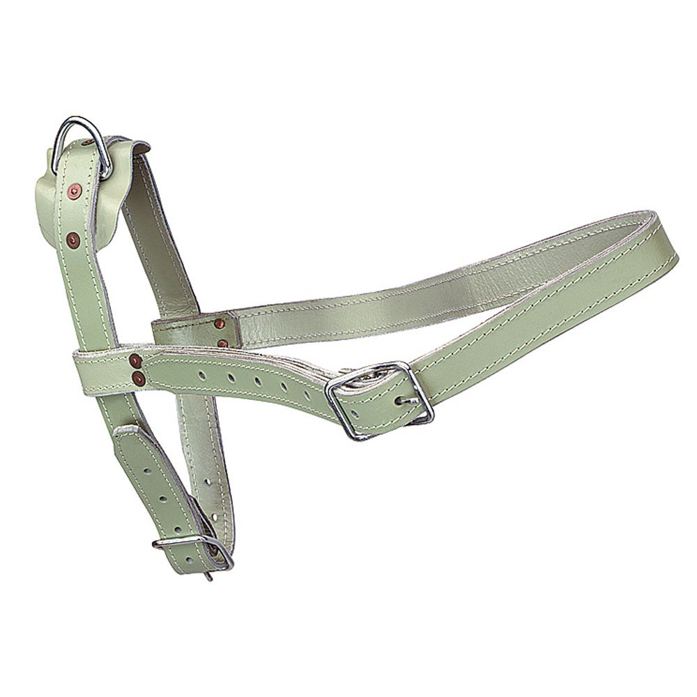 Licol taureau en cuir gris