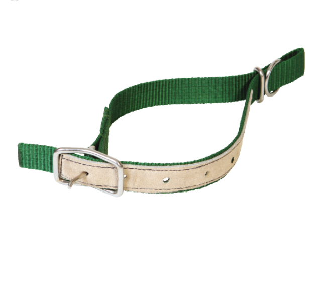 Collier mouton nylon vert
