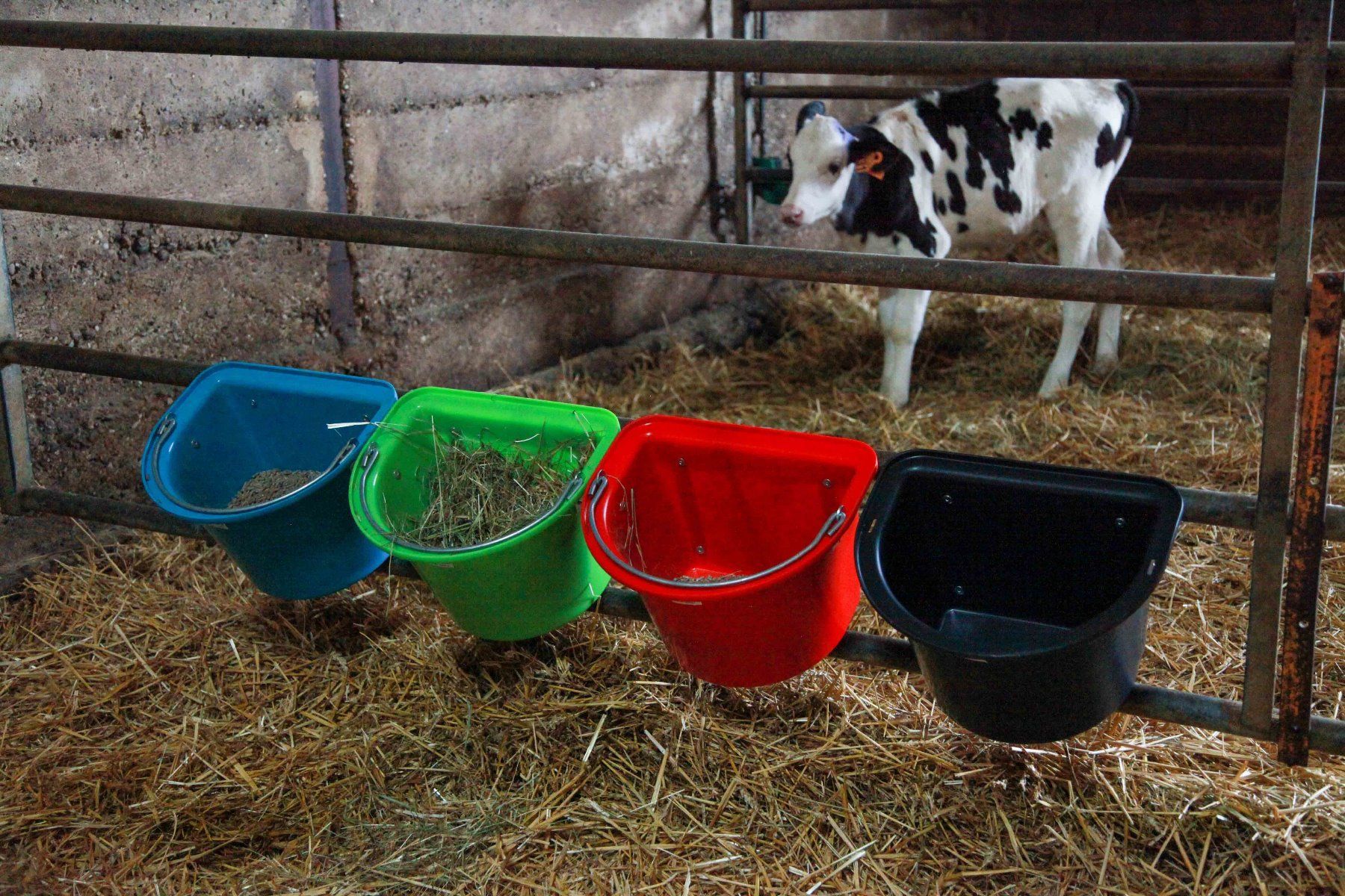 Mangeoire de porte avec crochets + anse