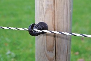 Isolateur premium pour cordes X20