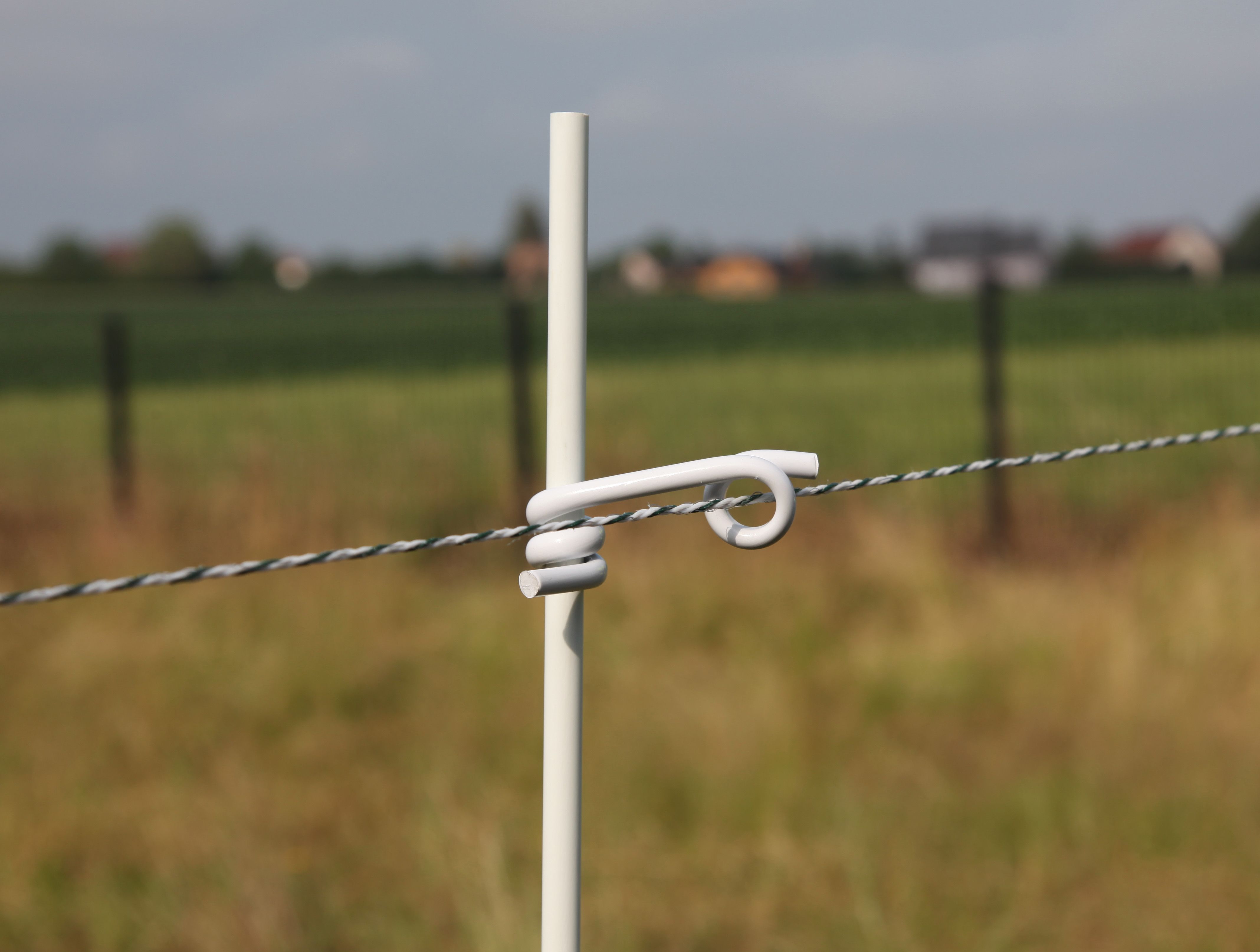 Isolateur queue de cochon 10 mm X50