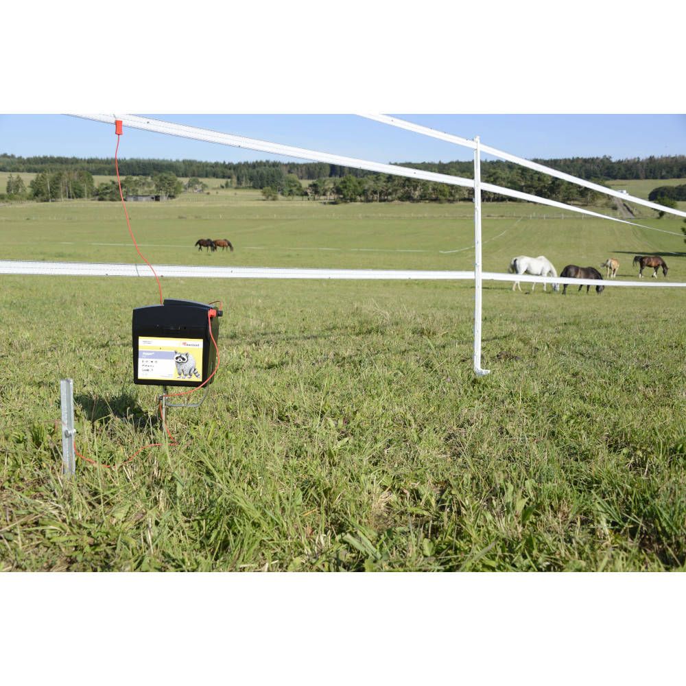 Poste pile TRAPPER B12 Horizont