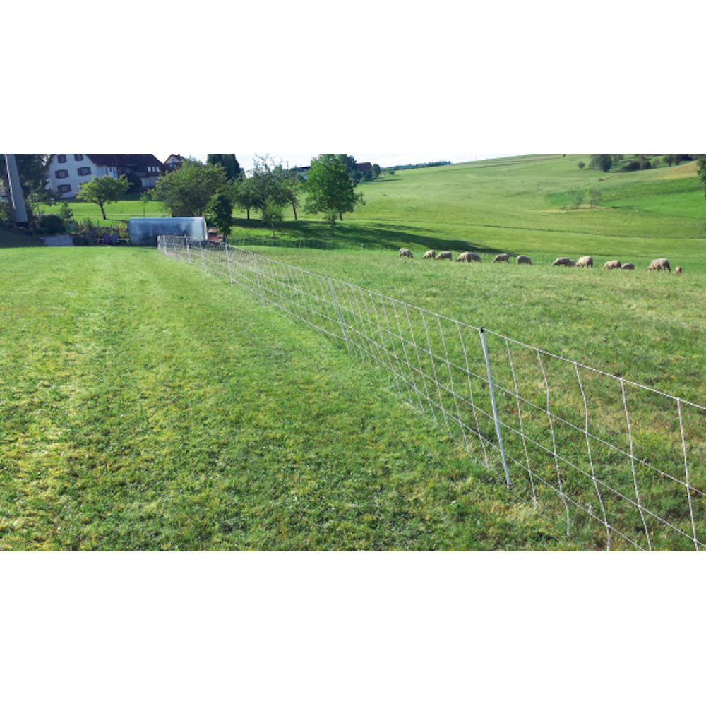 Filet moutons 50 m, h 90 cm, double pointe, turbomax extra