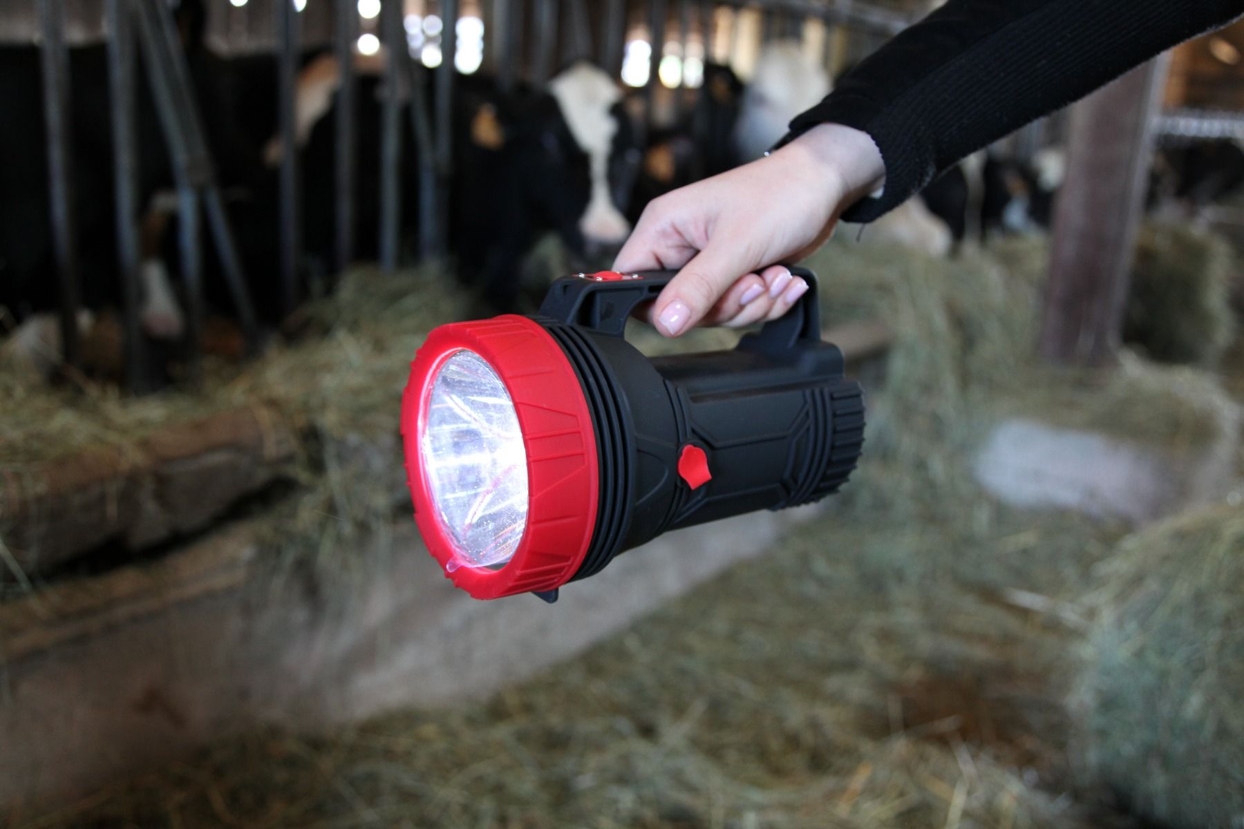 Lampe torche à LED EXPLORER grand modèle