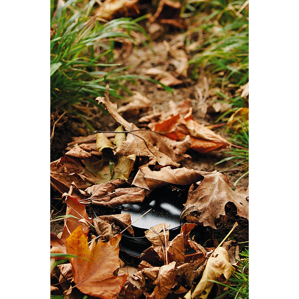 Piège à mâchoire, type français