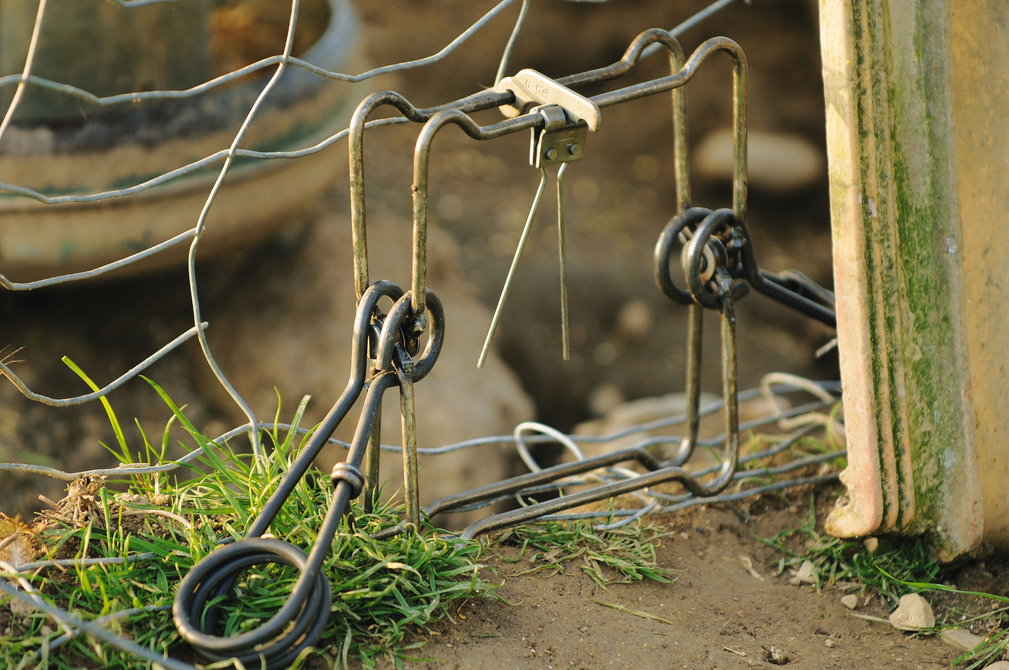 Piège en X 13 cm avec 2 ressorts