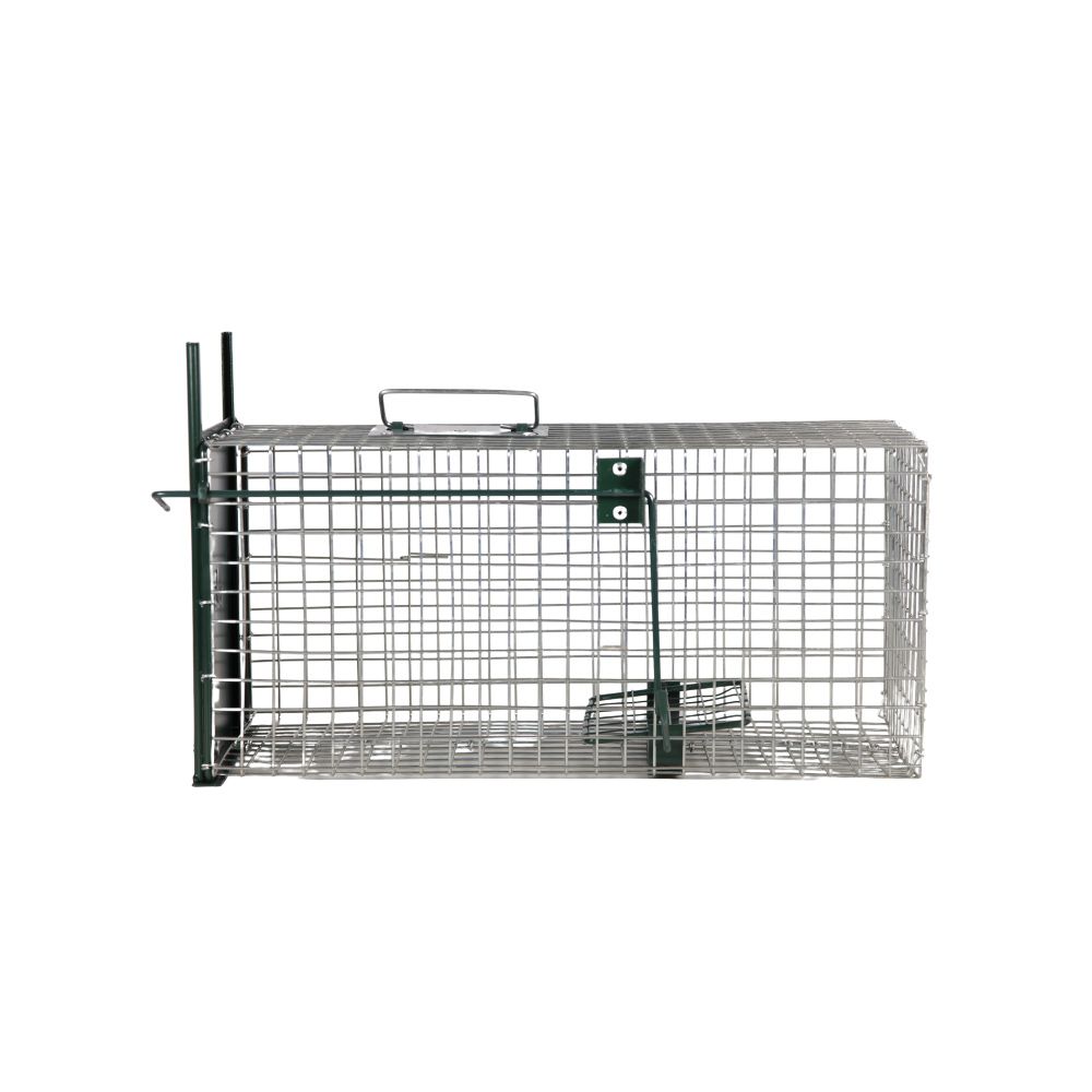 Cage à rats avec glissière, 1 entrée, 49 x 22 x 23 cm - BOXTRAP