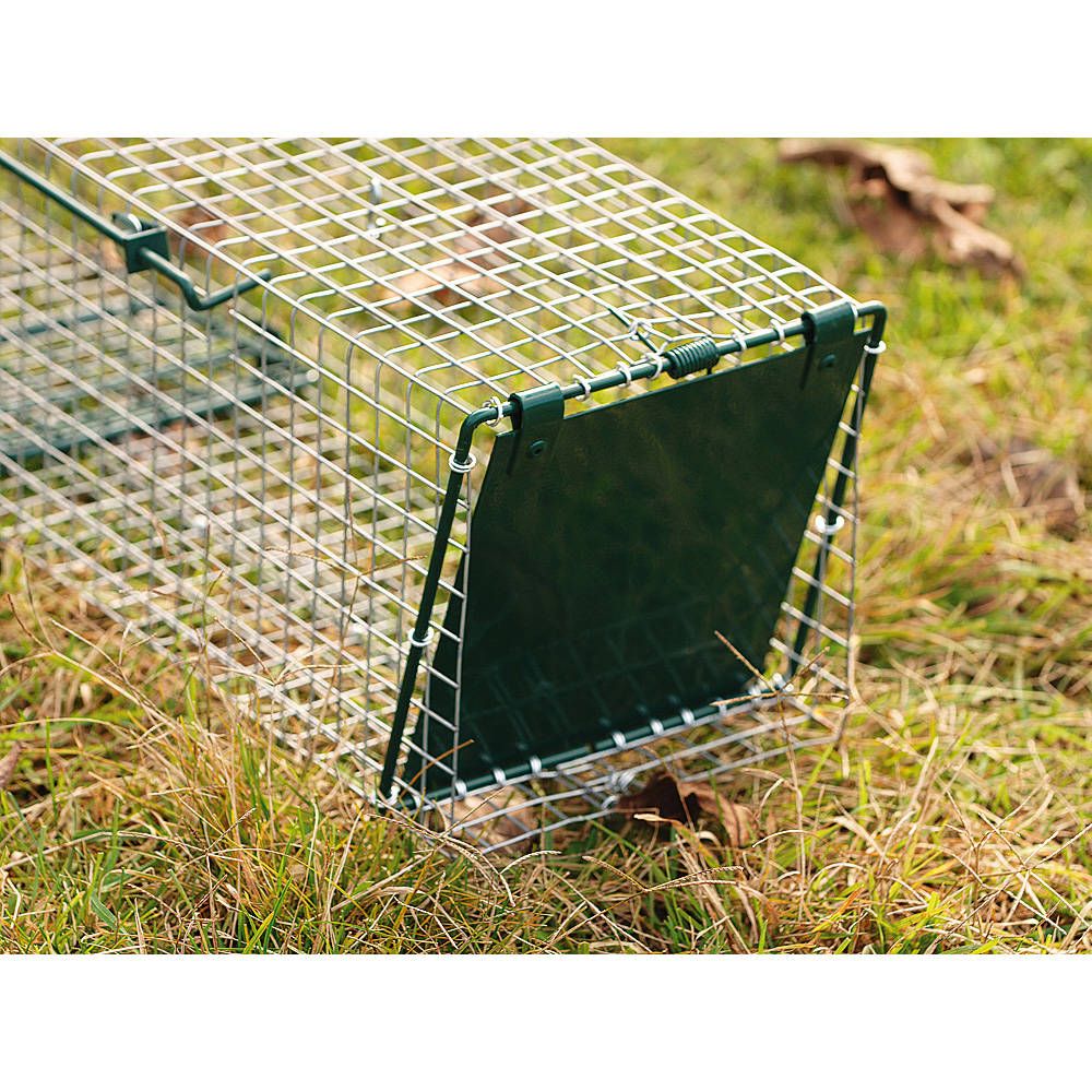 Piège à portes invisibles, 2 entrées, 80 x 19 x 19 cm - BOXTRAP