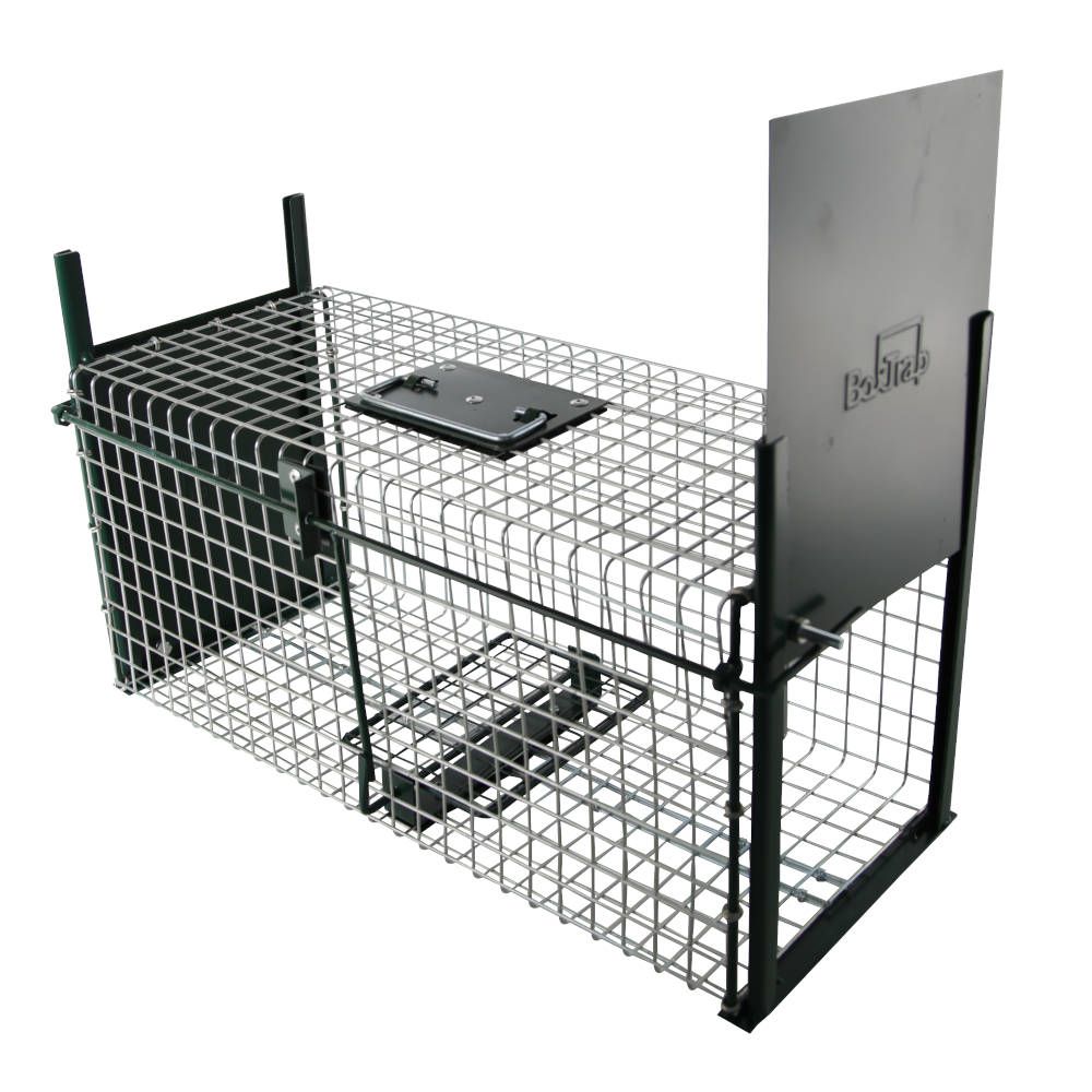 Cage à rats avec glissière, 2 entrées, 50 x 21 x 22.5 cm - BOXTRAP
