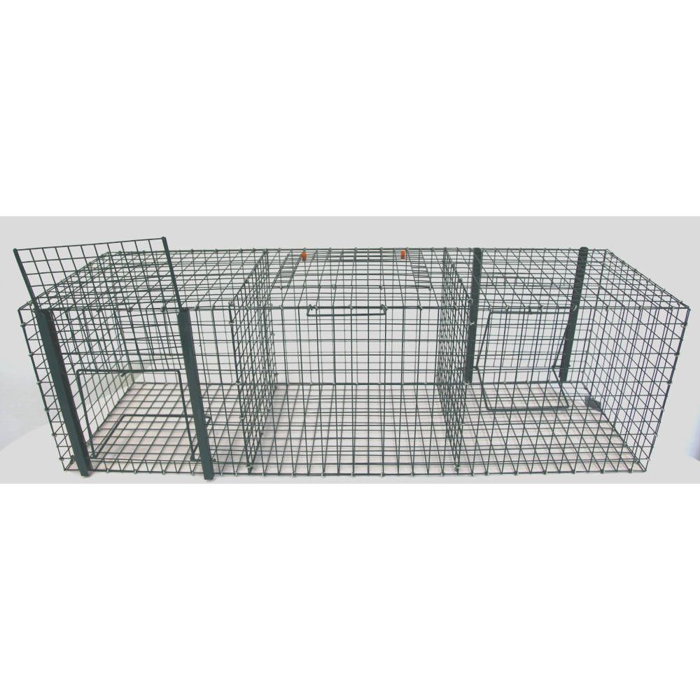 Piège à oiseaux, 3 compartiments - BOXTRAP