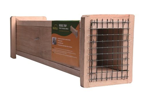 Belletière en bois - BOXTRAP, 49 x 6 x 8 cm