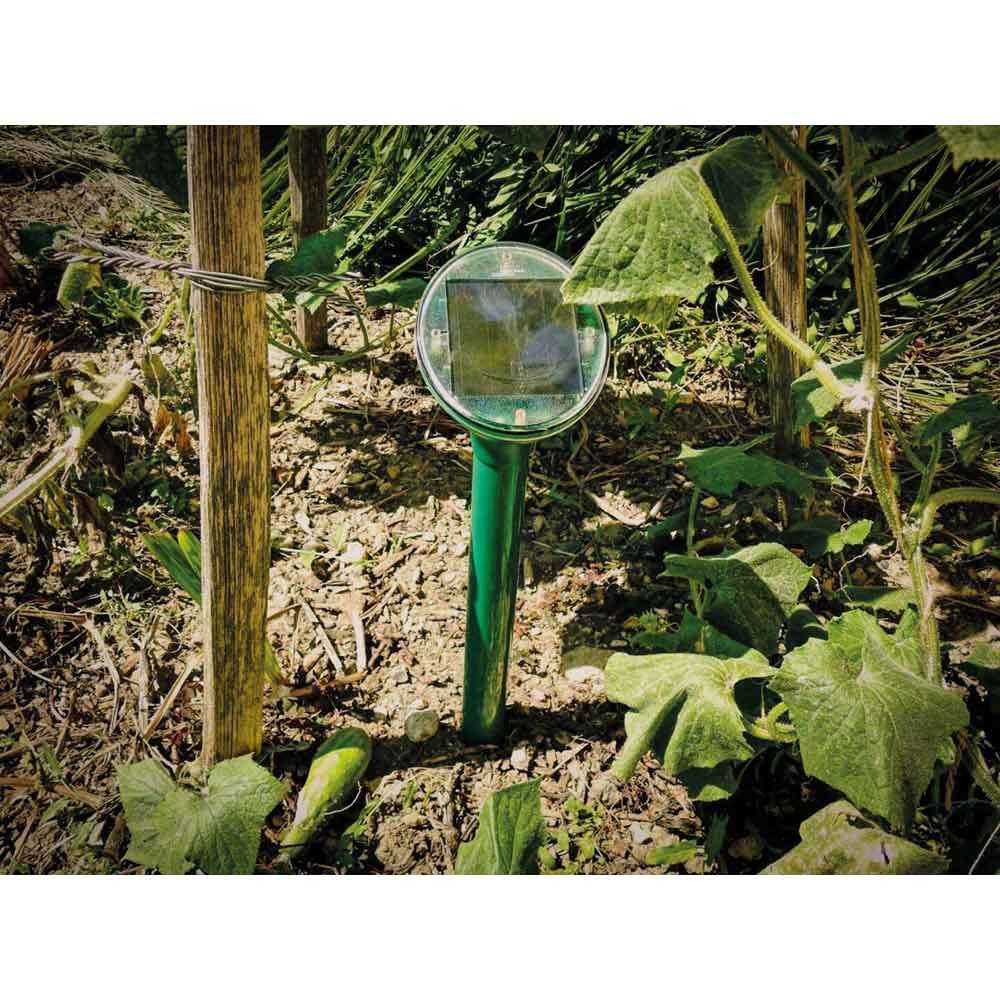 Chasse taupes solaire - SWISSINNO