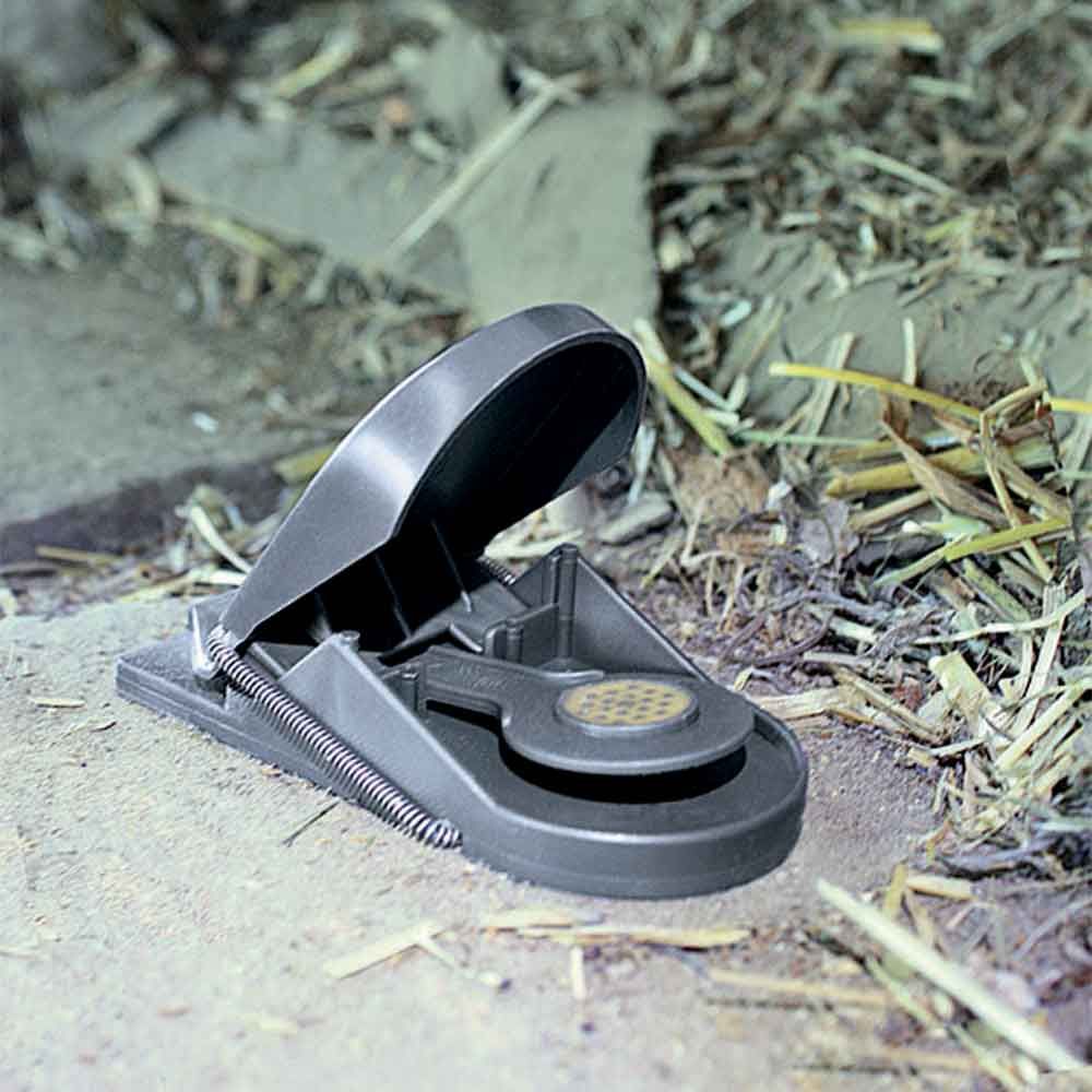 2 Pièges à souris SUPERCAT - SWISSINNO