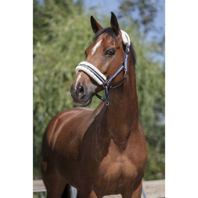 Licol en mouton synthétique doux marine pour pur-sang 